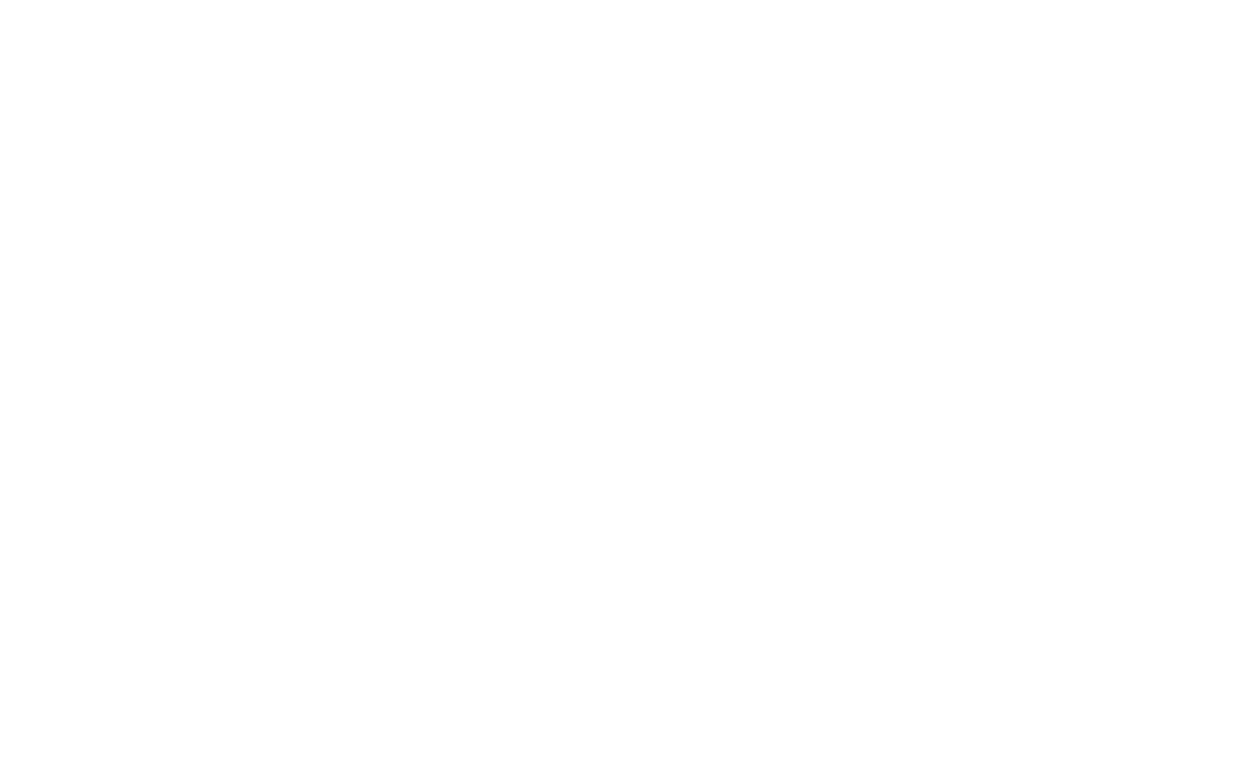 Fund Steer Logo